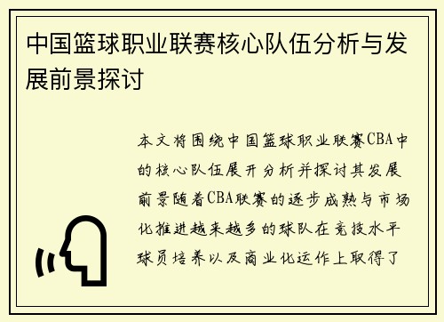 中国篮球职业联赛核心队伍分析与发展前景探讨